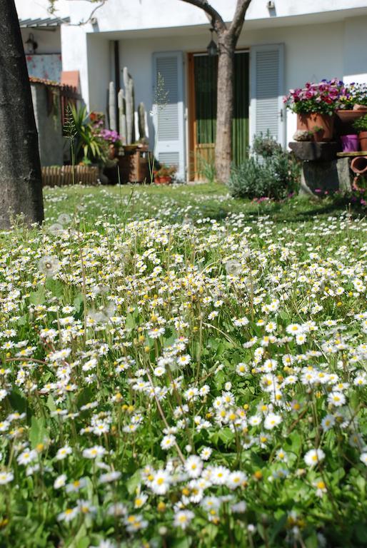 Bed And Breakfast Il Girasole Lamporecchio Exterior foto